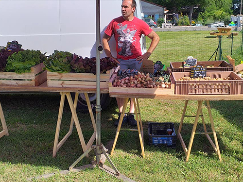 Vente de fruits et légumes frais